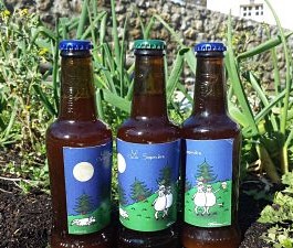 Bière au sapin bio : La Sapinière