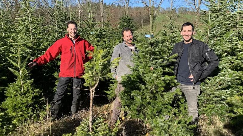 Article France Bleu Occitanie /  Noël " Nous sommes prêts à distribuer nos sapins dans tous les foyers"