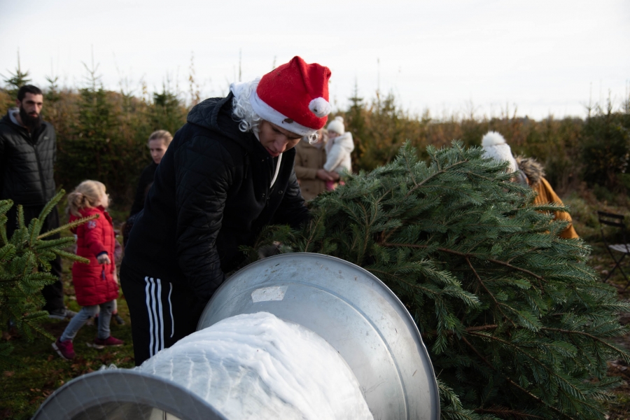 Viens Couper Ton Sapin Samedi 4 décembre 2021 à Audinac Les Bains 09200