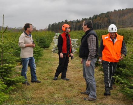 Héliportage sapin - Hélibearn