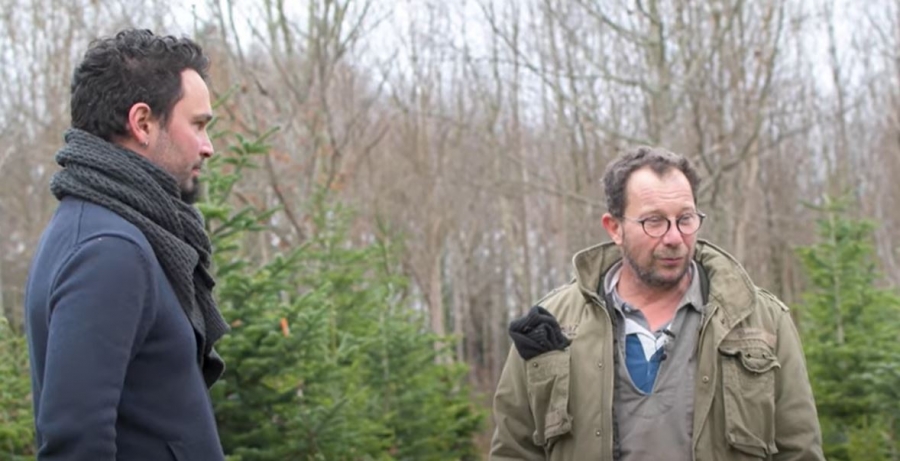 Reportage Les Origines Saison Sapin de Noël & produits dérivés Mon Bio Sapin