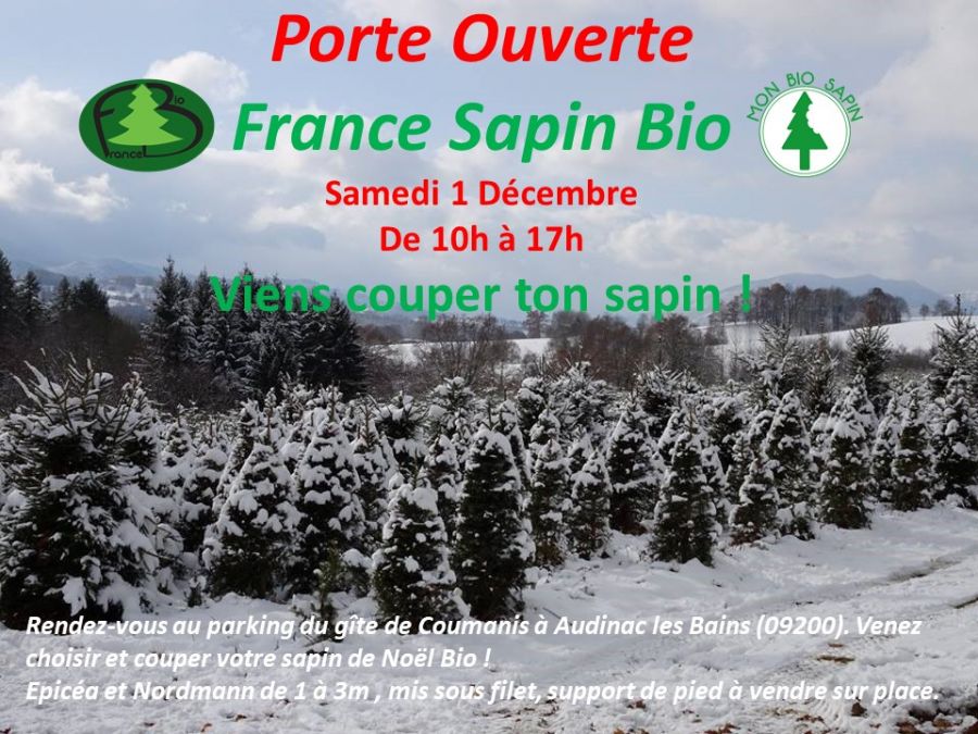 Viens couper ton sapin Samedi 1 Décembre de 10h à 17h