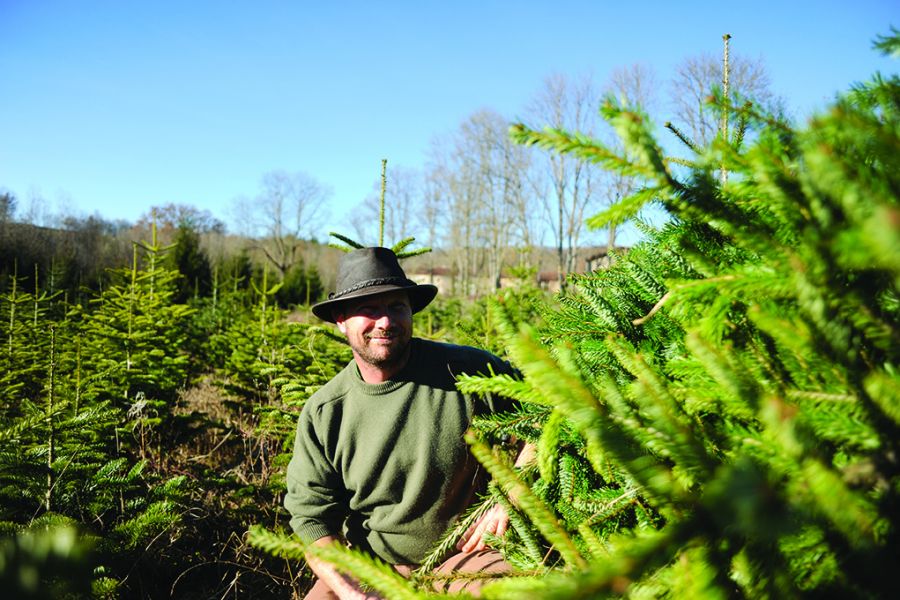 Ils sont bio les sapins de Noël de Michel - par le Village